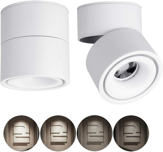 Dimmable Ceiling Spotlight,Indoor 360°Adjustable Surface Mounted LED 10W COB Ceiling Downlight-Wall Lamp for Picture Background Wall Display Lighting(Natural Light 4000K,White)