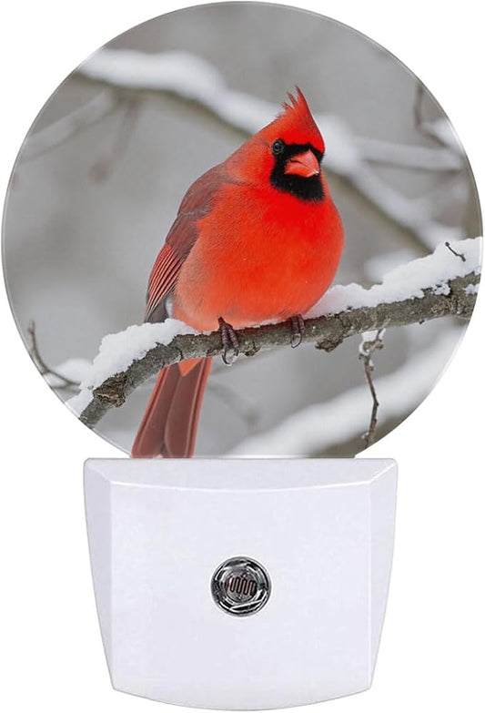 Red Cardinal Winter Snow Night Light Auto Sensor Led Dusk to Dawn Lamp Home Decor for Men Women