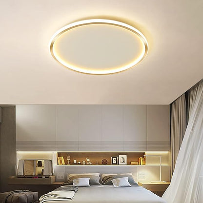 Dimmable LED Ceiling Light Fixture Flush Mount,24" Modern Round Recessed Ceiling Lamp with APP Adjustment,Gold 66W Close to The Ceiling Lighting Living Room Bedroom,3000K-6000K