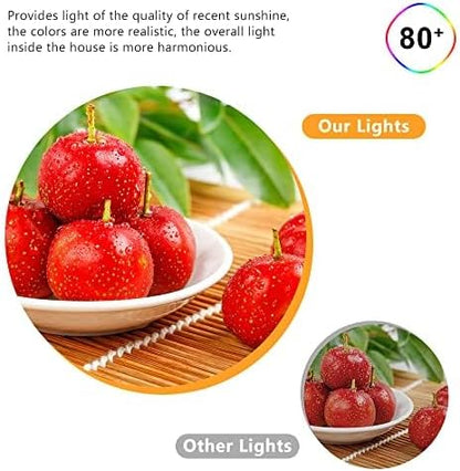 2 Inch LED Downlight, 3W Recessed Lighting Dimmable Ceiling Light Kit, 4000K Natural White, CRI80 Black LED Can Lights with Driver(35W Halogen Equivalent), 10 Pack