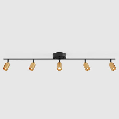 Shura Black & Brass 5-Light Track Light with Adjustable Heads, Integrated LED Bulbs, 4 ft. Track Lighting Kit Ceiling Light, 3000k, 2450 Lumens