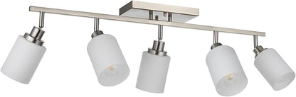 TODOLUZ 5-Lights Complete Track Lighting Kits in Brushed Nickel, Modern Spotlight Ceiling Lighting with Opal White Glass, E26 Bulb Base