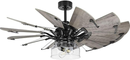 Progress Lighting Springer Collection Clear Glass Light Kit Matte Black, 7.50x11.87x11.87
