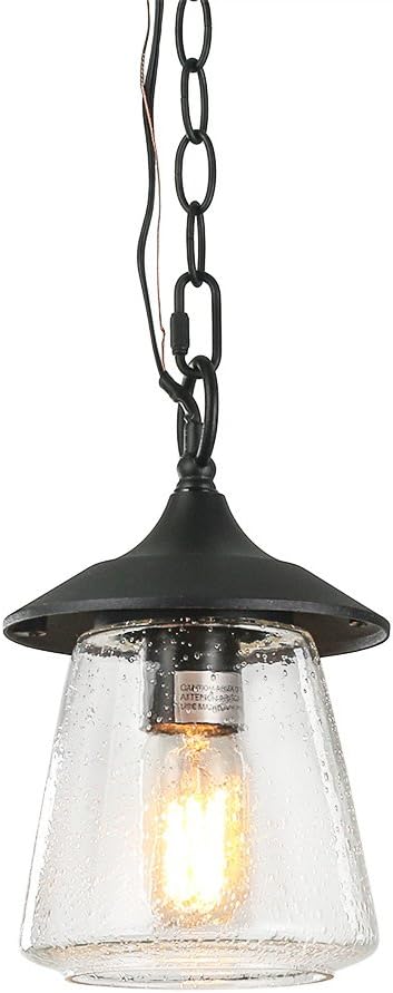 LOG BARN Outdoor Pendant Lights, Porch Fixture in Painted Black Metal with Clear Bubbled Glass Globe, Hanging Lantern Lamp for Gazebo, Entry, Yard