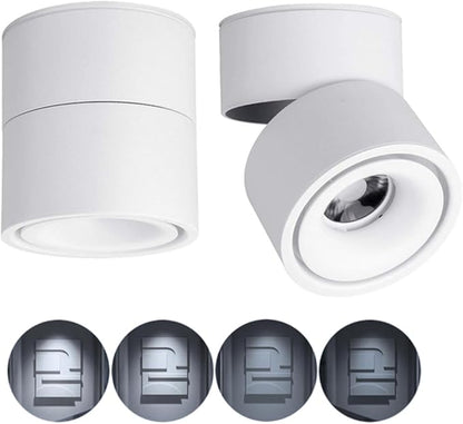 Dimmable Ceiling Spotlight,Indoor 360°Adjustable Surface Mounted LED 10W COB Ceiling Downlight-Wall Lamp for Picture Background Wall Display Lighting(Cold Light 6000K,White)