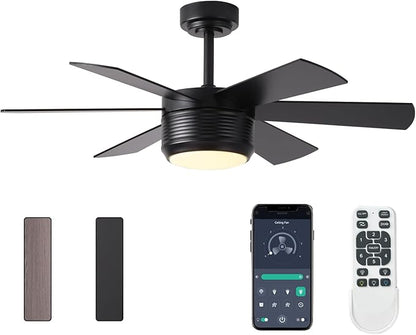 SHOWDI Ceiling Fan with Lights and Remote, 6 Blade App Control Timer Reversible Stepless Brightness and Color Temperature Outdoor Wood Ceiling Fan with Lights (Black, 42 Inch)