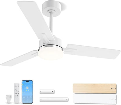 LANMEL Ceiling Fan with Light, Modern Flush Mount Low Profile with Remote Control, Reversible, 3CCT Dimmable, Quiet,LED for Bedroom, Living Room, Indoor/Outdoor Patio Use 42 Inch Silver & White