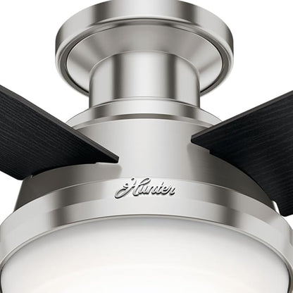 Hunter 44 inch Indoor Ceiling Fan with LED Light and Remote Control - Modern Ceiling Fan, Low Profile Mount, 4 Black Oak Blades, For Bedroom, Living Room, or Kitchen - Dempsey 59243, Brushed Nickel