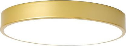 2 Pack Gold Flush Mount Ceiling Light, 12 Inch Metal Modern Round Gold Light Fixtures - 3 Colors, 3000K-5000K LED, 20W Low Profile Ceiling Lighting for Bedroom, Living Room, Hallway