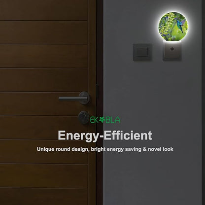 EKOBLA Hummingbird Plug-in Night Light, Spring Garden Bird & Flower LED Nightlight with Auto Sensor for Home Indoor Decor
