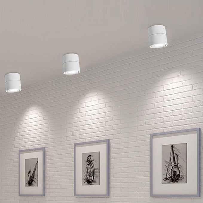 LED Ceiling Spotlight-Indoor 360°Adjustable Surface Mounted 10W COB Ceiling Downlight-Wall Lamp for Picture Background Wall Display Lighting(White,6000K Cold Light)