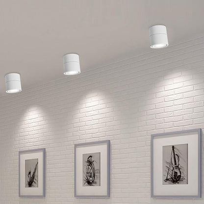 LED Ceiling Spotlight-Indoor 360°Adjustable Surface Mounted 10W COB Ceiling Downlight-Wall Lamp for Picture Background Wall Display Lighting(White,6000K Cold Light)