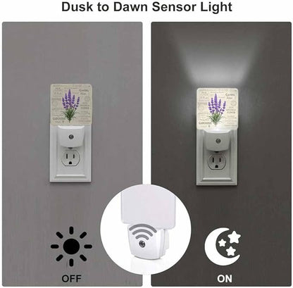 Lavender LED Night Lights Plug into Wall Vintage Postcard Background 0.5W Plug in Night Light, Dusk to Dawn, Bright Nightlight Auto On/Off, for Room Bedroom Bathroom