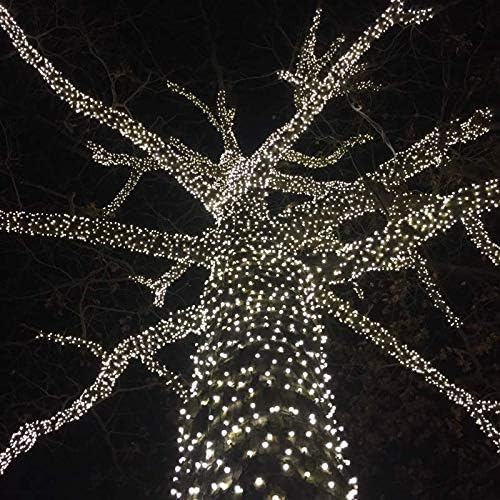 Novelty Lights 25ft 50 LED Pure White Christmas Lights Outdoor/Indoor, 6" Spacing, Green Wire String Lights for Festive Xmas Lighting, IP55, UL Listed, Dimmable, Connectable