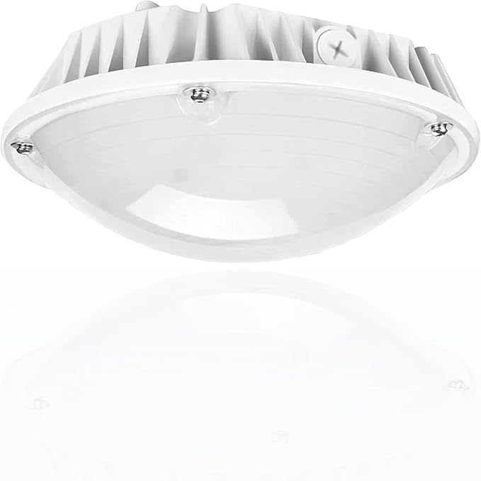 LED Canopy Light, 30W/40W/60W Wattage Selectable, 5000K Gas Station Canopy Lights, IP65 Waterproof LED Parking Garage Light, 100-277V/AC ETL Listed