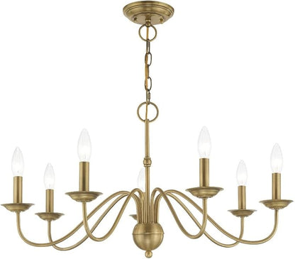 Livex Lighting 7 Lt Polished Brass Chandelier