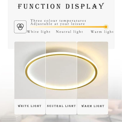 Dimmable LED Ceiling Light Fixture Flush Mount,16 inch Modern Round Recessed Ceiling Lamp ,Gold 44W Close to Ceiling Indoor Lighting For Home Living Room Bedroom,3000K-6000K with APP Adjustment