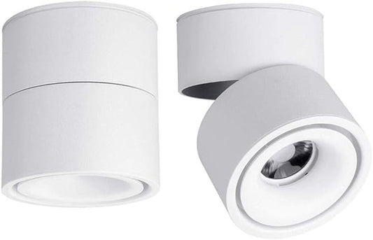 LED Ceiling Spotlight-Indoor 360°Adjustable Surface Mounted 10W COB Ceiling Downlight-Wall Lamp for Picture Background Wall Display Lighting(White,6000K Cold Light)