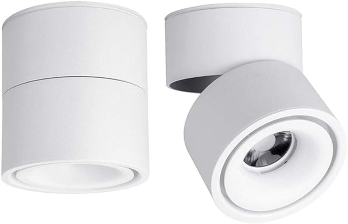 LED Ceiling Spotlight-Indoor 360°Adjustable Surface Mounted 10W COB Ceiling Downlight-Wall Lamp for Picture Background Wall Display Lighting(White,3000K Warm Light)