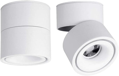 LED Ceiling Spotlight-Indoor 360°Adjustable Surface Mounted 10W COB Ceiling Downlight-Wall Lamp for Picture Background Wall Display Lighting(White,4000K Natural Light)