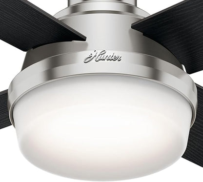 Hunter 44 inch Indoor Ceiling Fan with LED Light and Remote Control - Modern Ceiling Fan, Low Profile Mount, 4 Black Oak Blades, For Bedroom, Living Room, or Kitchen - Dempsey 59243, Brushed Nickel