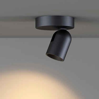 Flush Mount Ceiling Spotlight Dimmable Small Indoor Ceiling Light, Adjustable Directional Spotlight for Pictures Living Room Office Hallway - 3000K 11W 25° Flicker Free (Black)