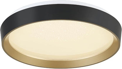 ANYLOVE 10 Inch Modern Flush Mount Ceiling Lights,White Gold Plastic Round Ceiling Light,Dimmable 3000K,3500K,4000K,5000K,6000K,for Living Room,Dining Room,Bedroom,Kitchen (Black and Gold, 15 Inch)