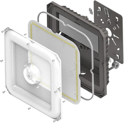 LED Canopy Lights Outdoor, with Selectable Wattage (100/80/60W) and CCT,IP65 Waterproof, for Carport, Gas Station, Tunnel, Warehouse, Inner Parkinglot,Shop Lights 10 * 10 (100W-1P)