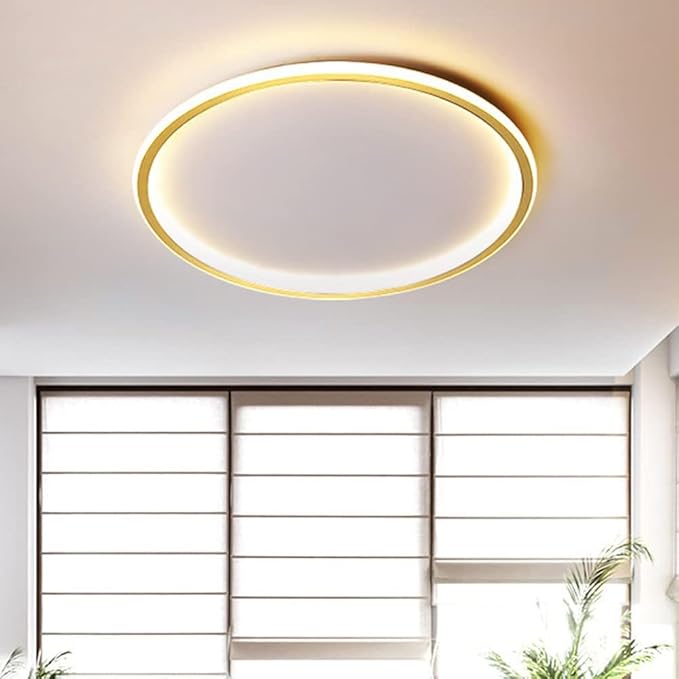 Dimmable LED Ceiling Light Fixture Flush Mount,12" Modern Round Recessed Ceiling Lamp with APP Adjustment,Gold Ceiling Lamp 3000K-6000K 33W Close to The Ceiling Lighting for Bedroom Living Room