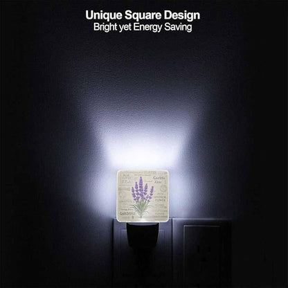 Lavender LED Night Lights Plug into Wall Vintage Postcard Background 0.5W Plug in Night Light, Dusk to Dawn, Bright Nightlight Auto On/Off, for Room Bedroom Bathroom