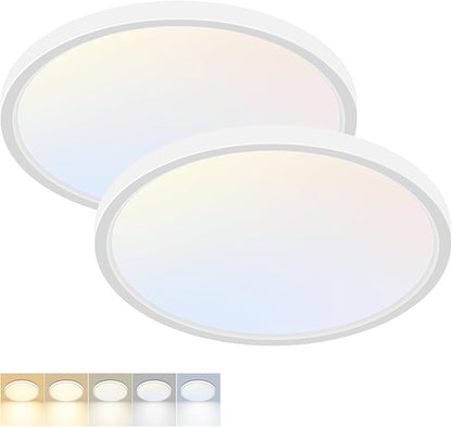 2 Pack LED Flush Mount Ceiling Light,12Inch 24W,3000K/3500K/4000K/5000K/6500K 5 Color Temperatures Ceiling Light Fixture for Kitchen Porch Hallway Bedroom Bathroom and Closet,White