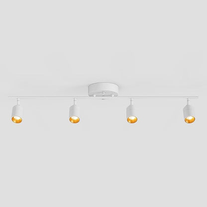 Shura White 4-Light 5CCT Track Light with Rotatable Heads, 5 Color Selectable, Integrated LED Bulbs, 3 ft Track Light Kit, 3000K, 1820 Lumen