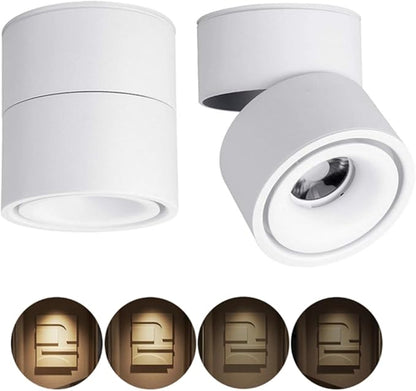 Dimmable Ceiling Spotlight,Indoor 360°Adjustable Surface Mounted LED 10W COB Ceiling Downlight-Wall Lamp for Picture Background Wall Display Lighting(Warm Light 3000K,White)