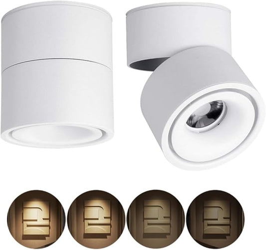 Dimmable Ceiling Spotlight,Indoor 360°Adjustable Surface Mounted LED 10W COB Ceiling Downlight-Wall Lamp for Picture Background Wall Display Lighting(Warm Light 3000K,White)