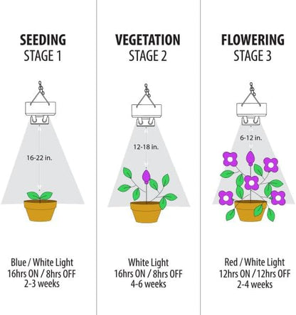 Feit Electric Grow Light 19W 2ft LED for Indoor Plants and Gardens, Full Spectrum Dual Hanging Bulb Grow Light, Hydroponic, GLP24ADJS/19W/LED
