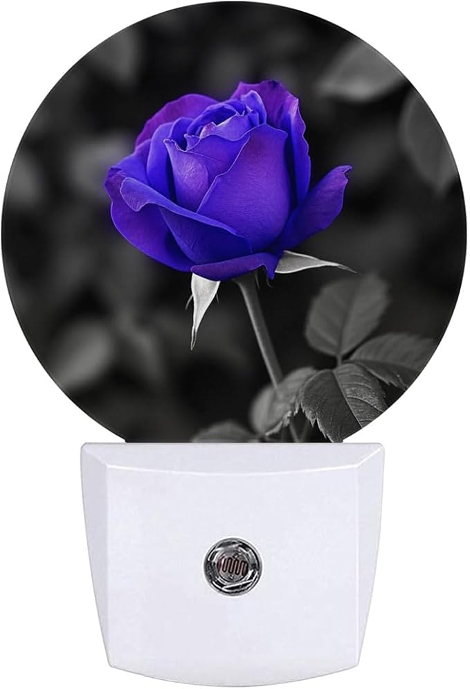Purple Rose Flower Violet Night Light Auto Sensor Led Dusk to Dawn Lamp Home Decor for Men Women