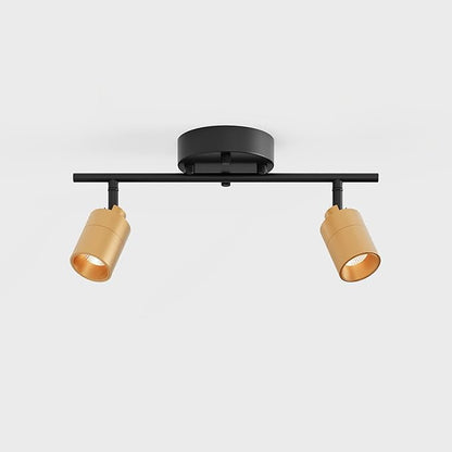 Shura Black & Brass 2-Light Track Light with Adjustable Heads, Integrated LED Bulbs, 15 in. Track Lighting Kit Ceiling Light, 3000k, 1120 Lumens
