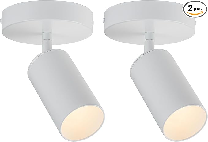 White Spot Lights Indoor 2 Pack LED Ceiling Spotlight Fixtures Adjustable 90° Anti-Glare Spotlight for Living Room, Paintings, Wall Art and Artwork, Warm White 3000K