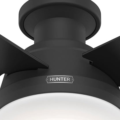 Hunter 52 inch Indoor Ceiling Fan with LED Light and Remote Control - Black Modern Ceiling Fan, Low Profile Mount, 4 Blades, for Bedroom, Living Room, or Kitchen, Quiet - Dempsey 52389, Matte Black