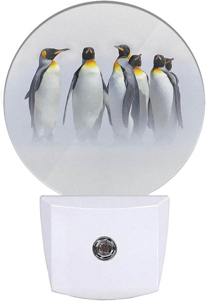 EKOBLA Penguin Plug-in Night Light, Cute South Pole Ice Animal LED Nightlight with Auto Sensor for Bedroom, Bathroom & Hallway