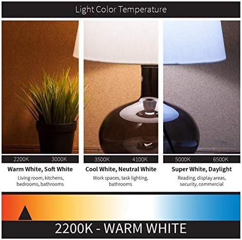 Vintage LED Edison Bulb G30 G95 4W Dimmable LED Filament Bulb Globe Pineapple Shaped Light Bulb 2300K Warm White E26 400LM Equivalent 40W Incandescent (Clear)