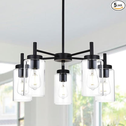 5 Light Contemporary Chandeliers Black Modern Lighting Fixtures Hanging,Industrial Vintage Pendant Lights with Clear Glass Shade Flush Mount Ceiling Light for Dining Room Bedroom