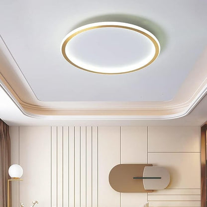 Dimmable LED Ceiling Light Fixture Flush Mount,12" Modern Round Recessed Ceiling Lamp with APP Adjustment,Gold Ceiling Lamp 3000K-6000K 33W Close to The Ceiling Lighting for Bedroom Living Room