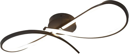 Modern LED Ceiling Light Fixture,30 Inch 22W Flush Mount Ceiling Chandelier,Dimmable Ceiling Lamp for Kitchen Bedroom Study Living Room Office Dining Room (Matte Black-S)