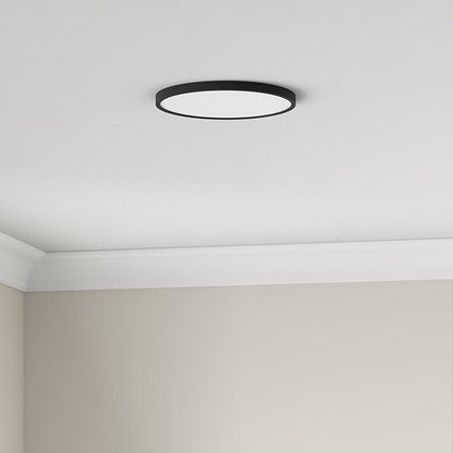 TALOYA 2 Pack of Black 10 Inch LED Ceiling Light Fixture Flush Mount for Closet Porch, 5 CCT Options, Energy Efficient Ceiling Fixture 20W Equivs to 120W Traditional Lamp Perfect for Low Ceiling