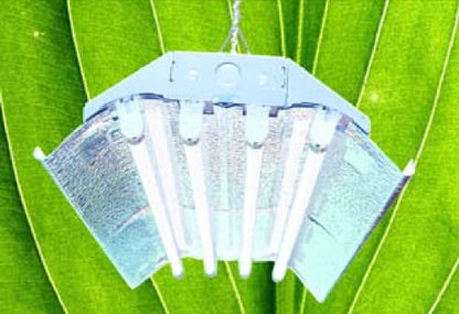 Durolux T5 Grow Light - 2 FT 4 Lamps - DL824 HO Fluorescent Hydroponic Fixture Seeding Colon Veg Growing Daisy Chain with Bulbs