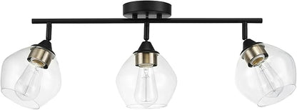 Globe Electric 59619 Harrow 3-Light Track Lighting, Matte Black, Antique Brass Accents, Clear Glass Shades, Bulbs Included, 650 Lumen