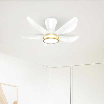 DAMINY 30 Inch White and Gold 5 Blade Ceiling Fan with Light, Modern Ceiling Fan with Remote,Large Airflow,Flush Mount,6CCT,Dimmable,Noiseless,Bedroom