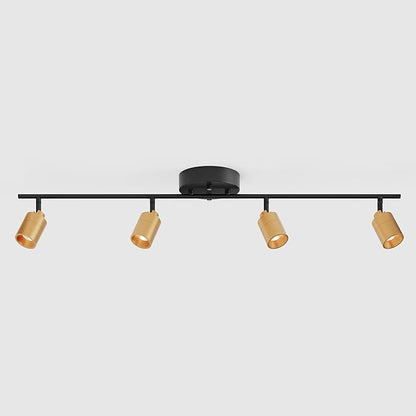 Shura Black & Brass 4-Light Track Light with Adjustable Heads, Integrated LED Bulbs, 3 ft. Track Lighting Kit Ceiling Light, 3000k, 2240 Lumens