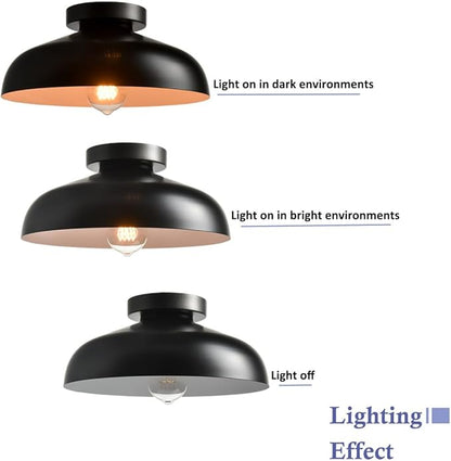 DIRYZON 12-Inch Industrial Ceiling Light Fixture,Black Bedroom Ceiling Light,Metal Ceiling Lighting for Hallway Kitchen